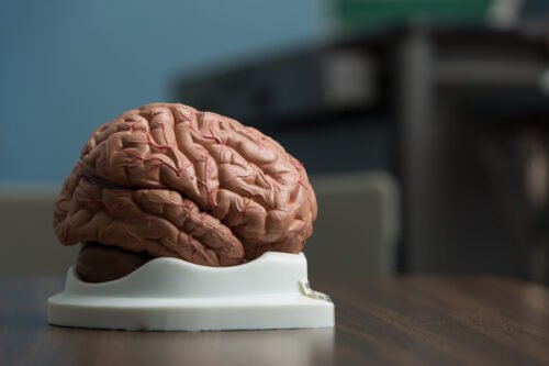 Definición de la psicología * ART LAB