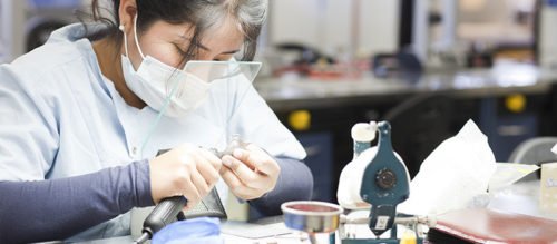 Diplomado anaplastología * fabricación prótesis