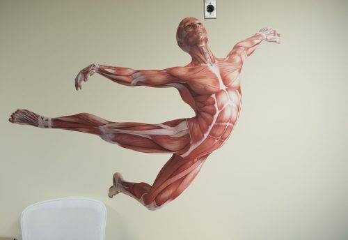 La Anatomía Humana * Por El Dr. Luis Enrique Ramírez Huerta * Cirujano Ortopédico y Traumatólogo