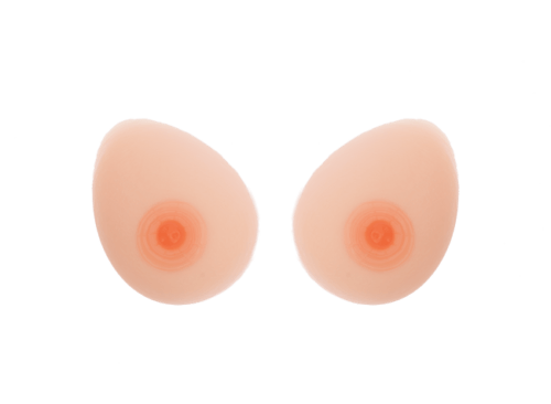 Productos Y Servicios