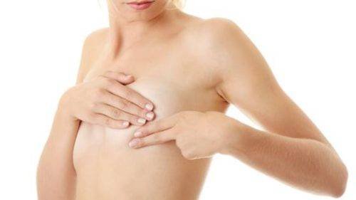 Productos Y Servicios