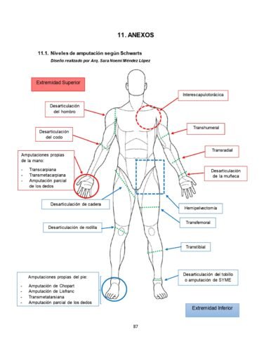 Caracterización del paciente con amputación traumática