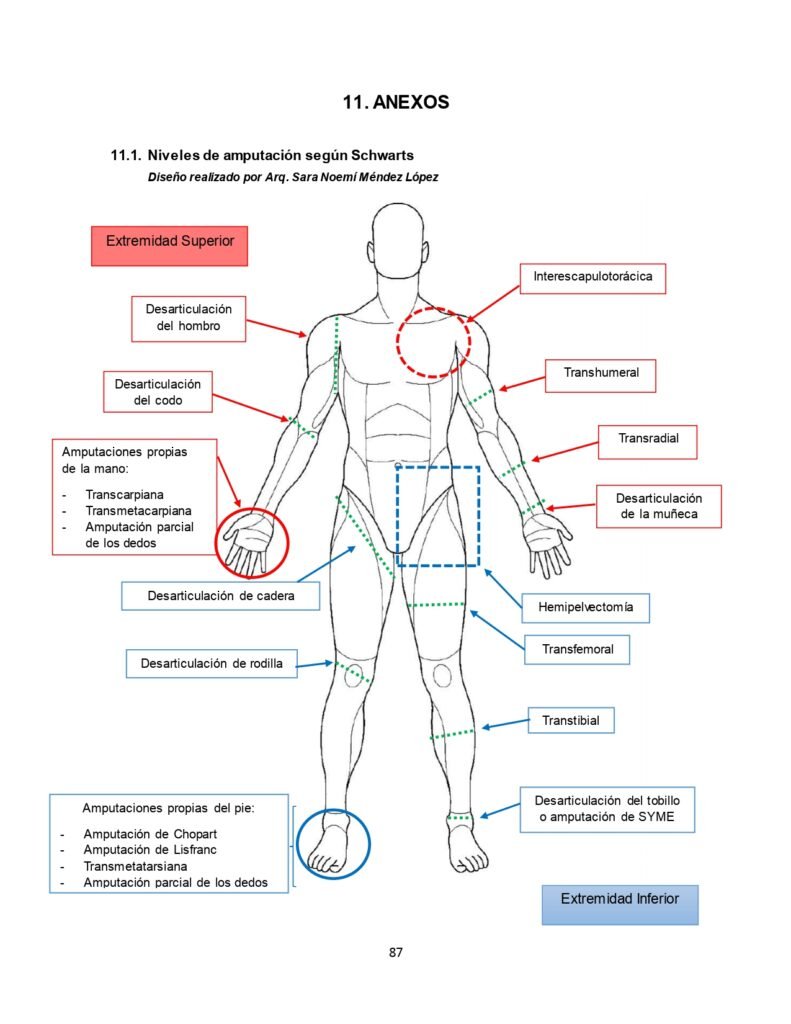 Caracterización del paciente con amputación traumática