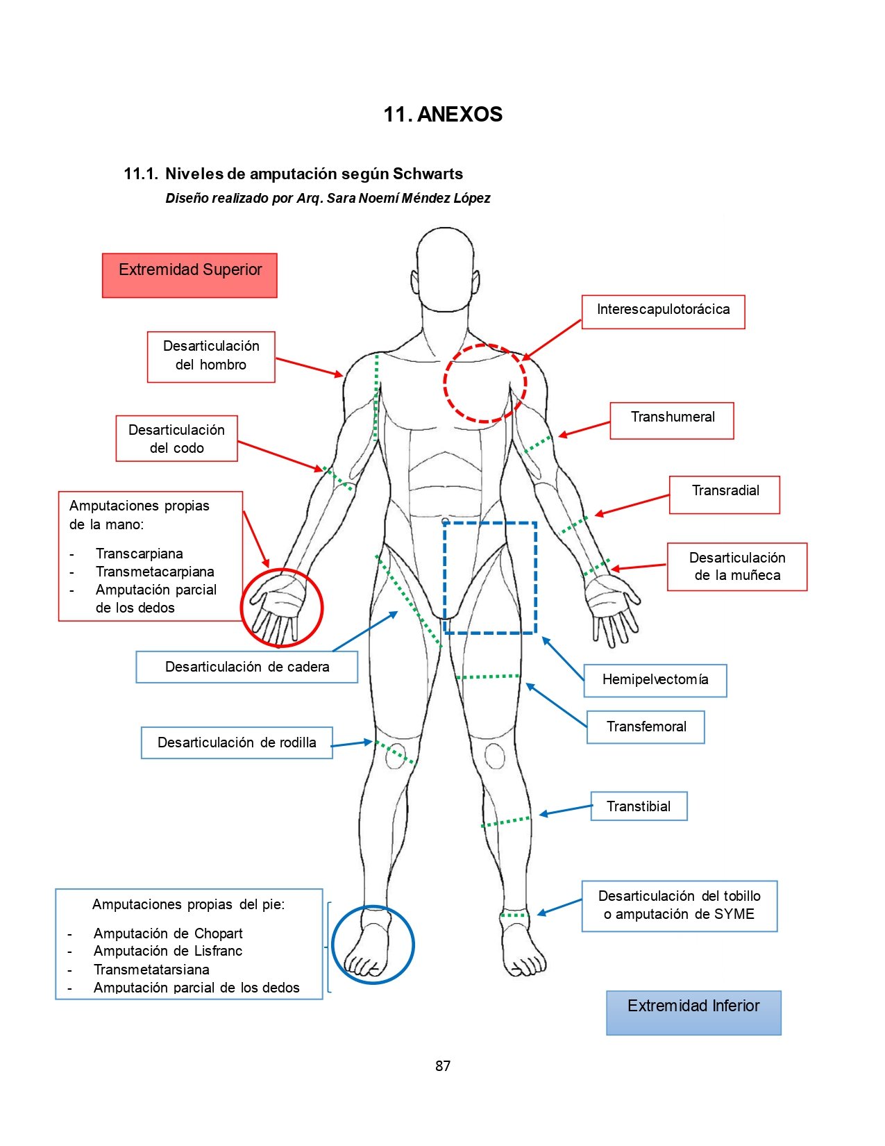 Caracterización del paciente con amputación traumática
