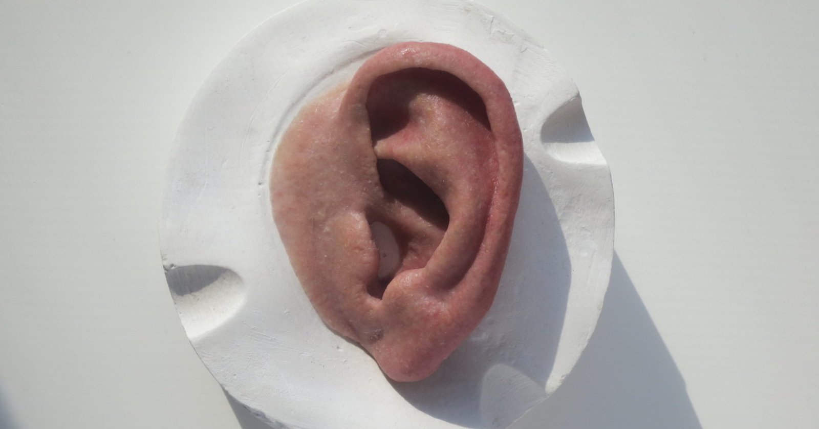 Prótesis oreja * curso anaplastología