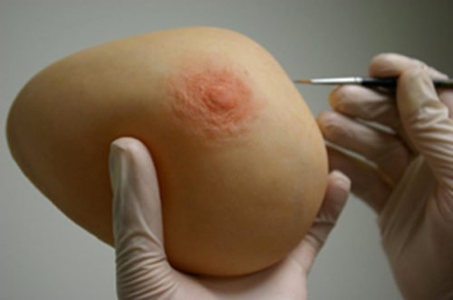 Productos Y Servicios