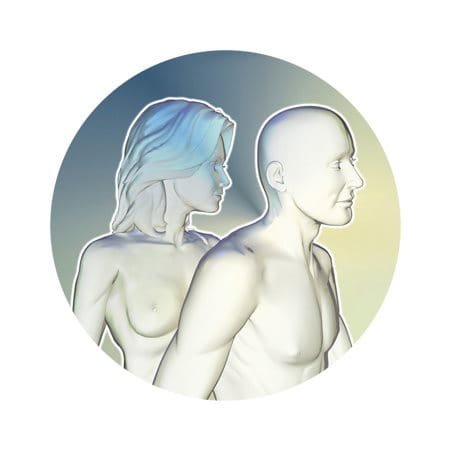Piel Humana * Pag.2. Fisiología