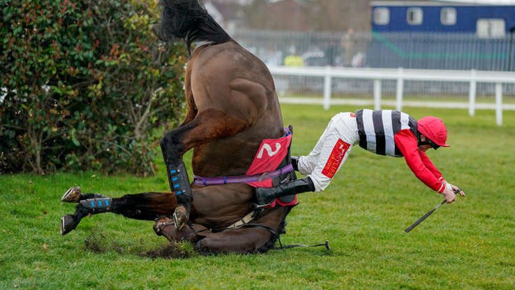 Horse accident leads to amputation