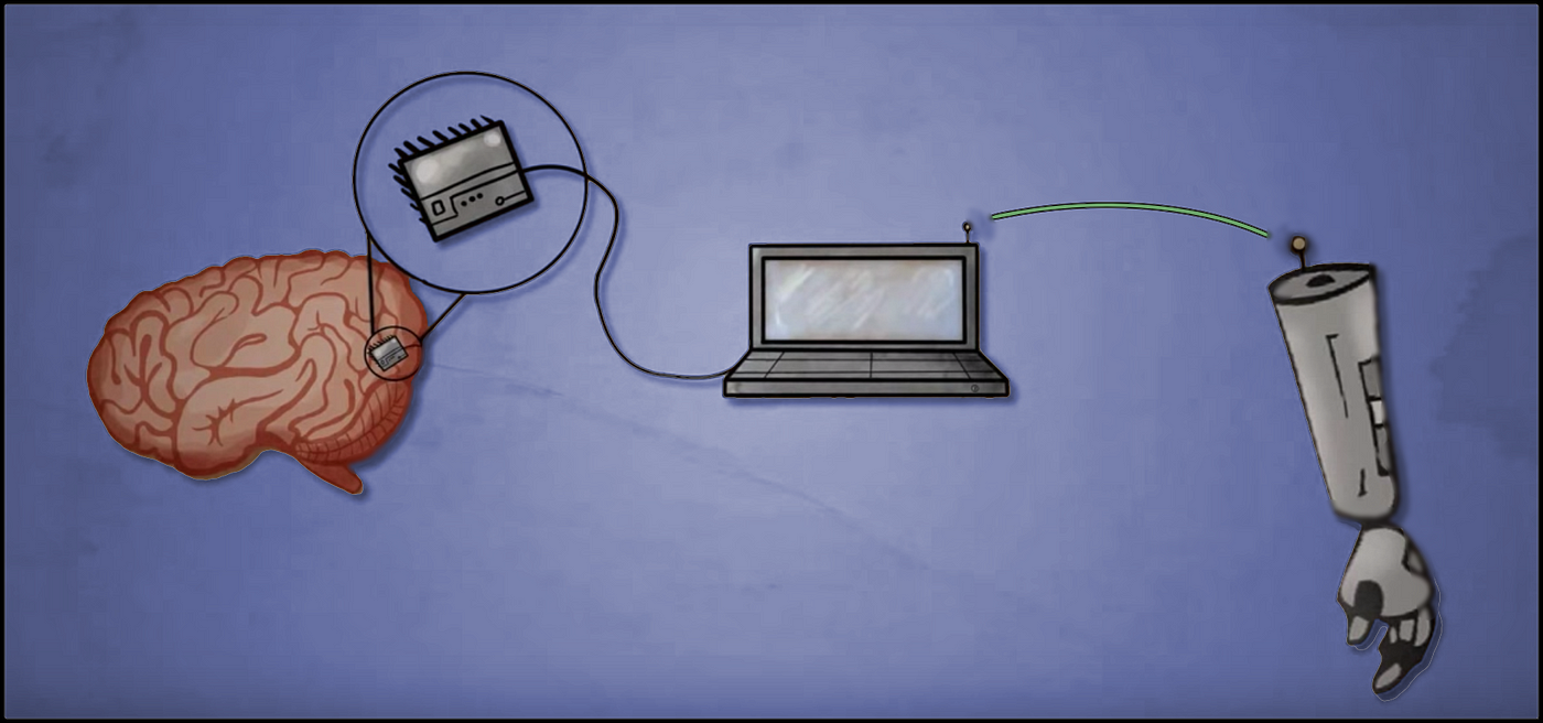 Wetware is a term drawn from the computer-related idea of hardware or software, but applied to biological life forms.